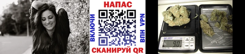 Купить закладку Cocaine  Меф мяу мяу  ГАШ  Дигора