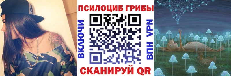 Псилоцибиновые грибы прущие грибы  Купить  Дигора 