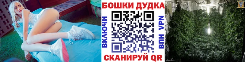 Купить где  Дигора  Конопля семена 